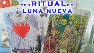 GEMINIS ♊️LO MALO Tienes cambios muy drásticos  TAROT HOROSCOPO SEMANAL AMOR EX DINERO RITUAL