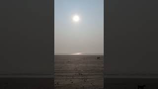 "Beach Life", "Golden Hour", "Reset. Reflect. Recharge".  #beach #beautifulview #beachday