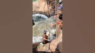 Real life 100% traditional, Old man catch fish by nets Fishing in river [part 15] #netfishing