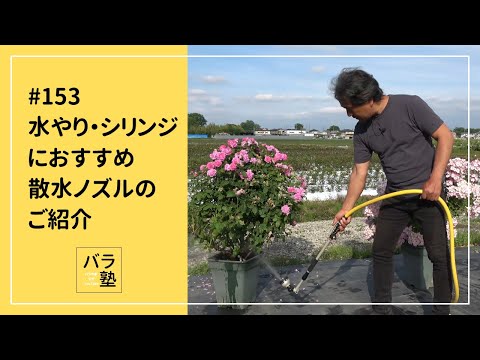 #153 水やり・シリンジにおすすめ 散水ノズルのご紹介 hqdefault