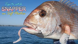 How to catch Snapper on Soft Plastics !! ( helpful Tips & Techniques ) screenshot 2