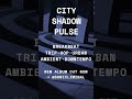 City Shadow Pulse