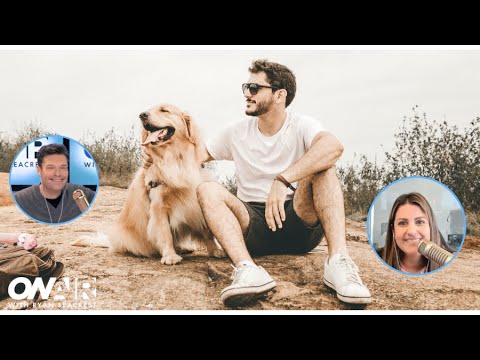 Ryan Labrador What Is A Labrador Boyfriend