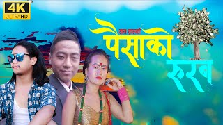 पैसाको रुख ll Paisako rukh ll Nepali folk song 2077/2021 ll Yam saru, sangita gurung