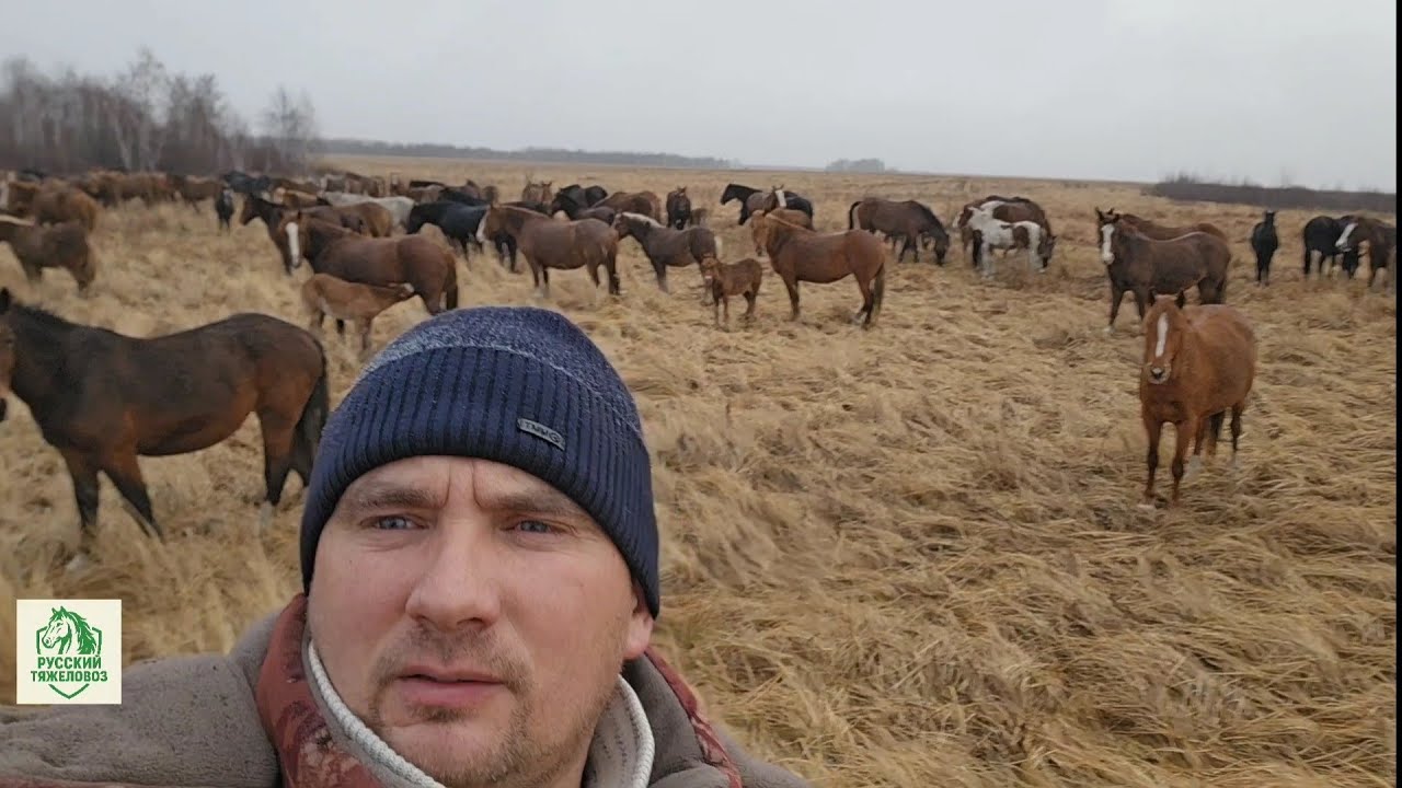 В табуне нехватает 8 голов. БЛАГОВЕСТ мчится, слёзы из глаз.