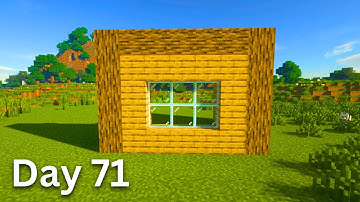Building A House But Only Adding One Block A Day (Day 71)
