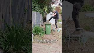 Entretien Complet Dun Jardin