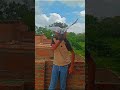 tiger ke sath masti😁🕊️ #Vlogger#DailyVlog#TravelVlog#shortscrochet#VloggerLife#shortscooking#kabutar