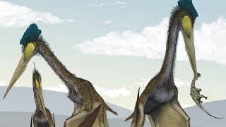 Nesli Tükenen 5 Korkunç Uçan Sürüngen