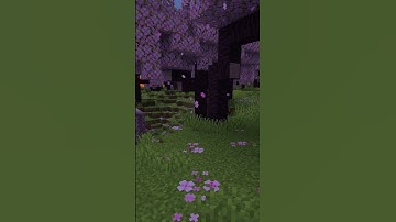 How To Join Valatic SMP on Bedrock windows and mobile