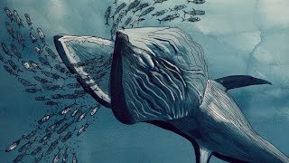 Seismic Testing Is Torturing Marine Life