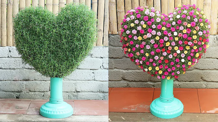 Creative heart garden from plastic bottles to grow beautiful Portulaca (Mossrose)