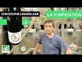 Christophe lindenlaub  riesling nature  2 la vinification nature