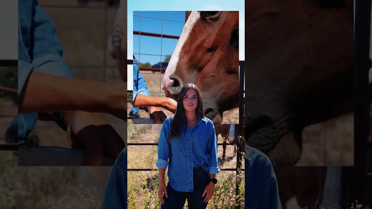 🚜 46.23 Acres of Freedom in Caldwell County!