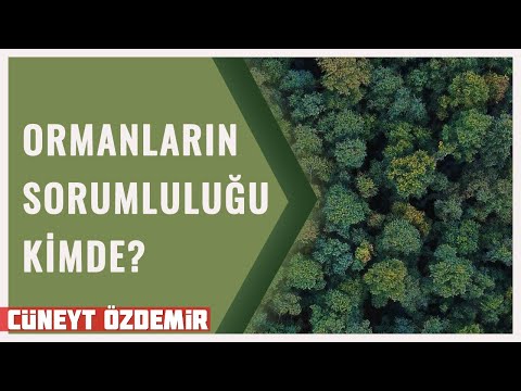 ORMANLARIN SORUMLULUĞU BELEDİYELERDE Mİ, ORMAN BAKANLIĞI'NDA MI?