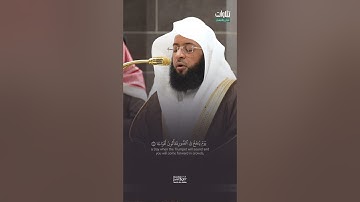 {إِنَّ يَوْمَ الْفَصْلِ كَانَ مِيقَاتًا} تلاوة رائعة للشيخ بدر بن محمد التركي من سورة النبأ.