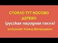 СТОЯЛО ТУТ КОСОВО ДЕРЕВО русская народная песня. ЗАТЕЯ сольное народное пение.