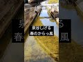 泉谷しげる      春のからっ風(cover)  個性が強すぎる所はあるけど、それが彼の個性でしょう。