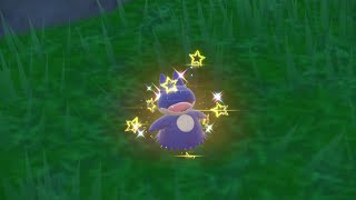 PEV :  Goinfrex (Munchlax) Shiny 2