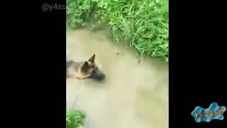 EH KO ILANG