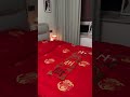 来个一镜到底 让大家看看我的婚房布置 婚房 结婚 婚后生活 新婚夫妇 来个一镜到底 让大家看看我的婚房布置 婚房 结婚 婚后生活 新婚夫妇