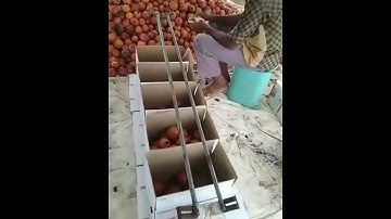Fruits sorting innovation