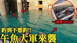 一桶賺5000！原來這裡就是午魚藏身之處！釣爆桶不是問題！ @fishingintaiwan