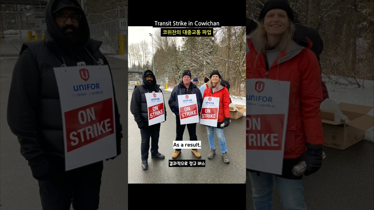 North Cowichan Mayor Calls for Province to End Transit Strike