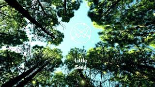 Ian Brown - Little Seed Big Tree (Nowhitespace Remix)