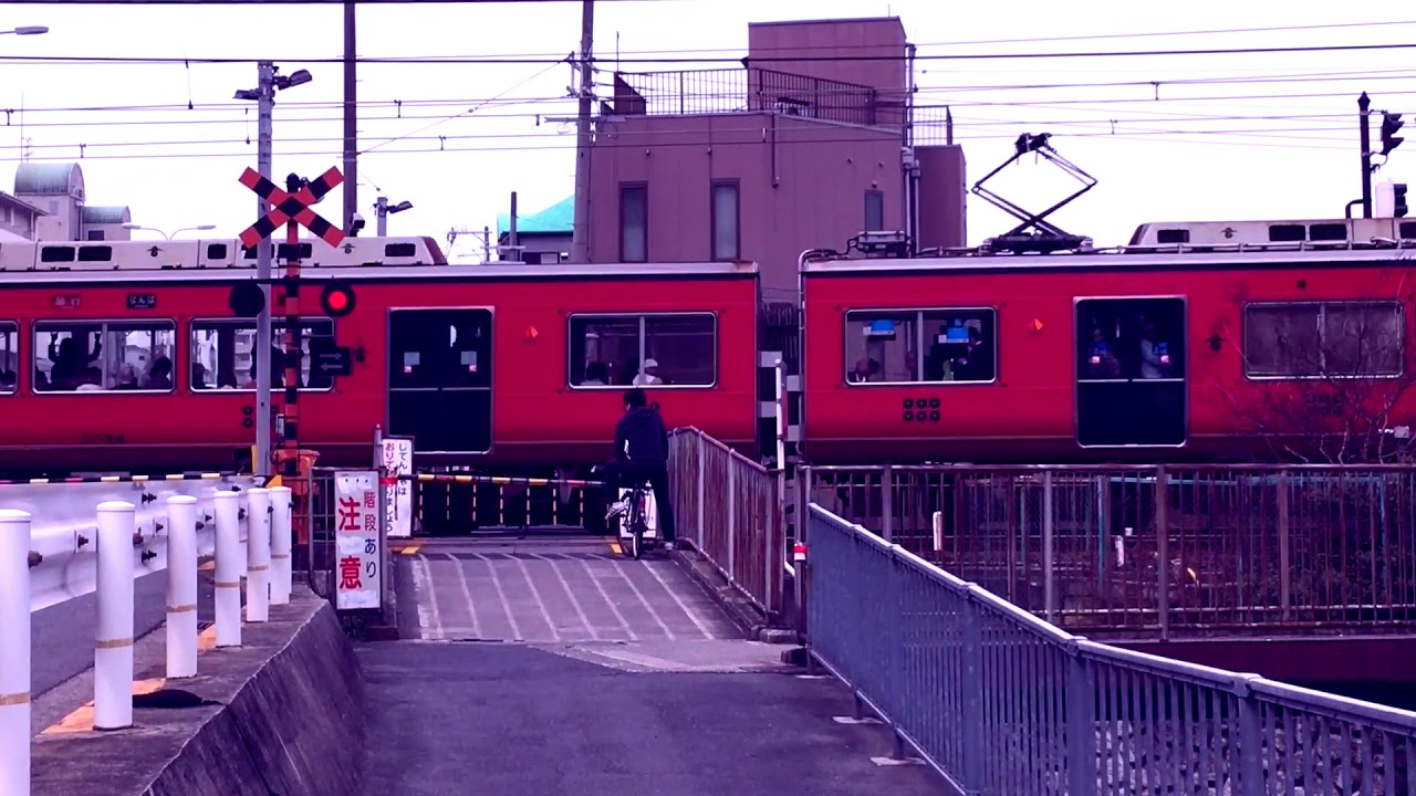 videos for cats My Japan Trip - Part 1 - From Himeji Castle to Osaka... a retrospective