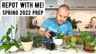 Repot With Me! Repotting Houseplants For Spring 2022
