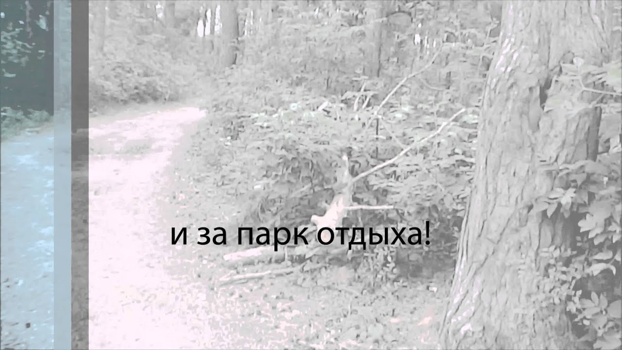 Лада г южноуральск