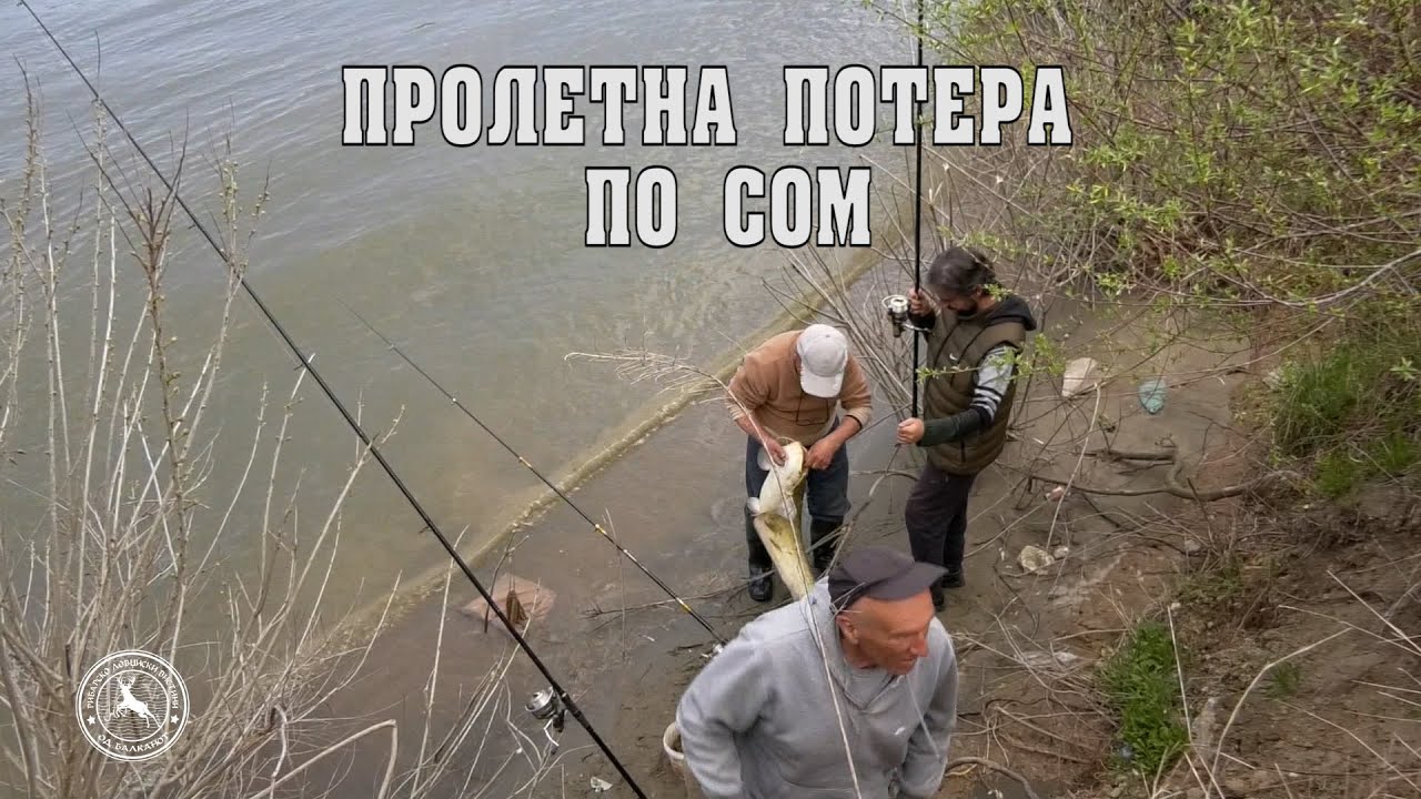 Сомот се буди - Пролетна потера по сом #рибарскавистина #fishing #catfish #som