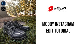 Urban Moody Editing with Lightroom Mobile & Lens Distortions in 60 Seconds! #Shorts