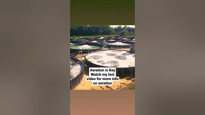 Aeration and Dissolved oxygen  #shorts #thefarmlady