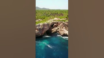 سورة الضحى بصوت الشيخ ماهر المعيقلي