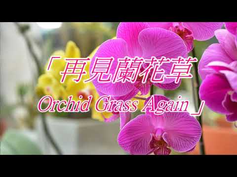 再見 蘭花草  Orchid Grass Again 張雨生 Tom Chang