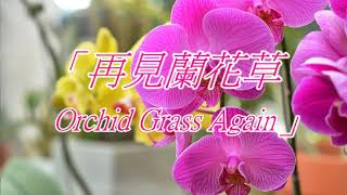 再見 蘭花草  Orchid Grass Again 張雨生 Tom Chang