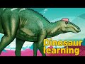 Dinosaur Edmontosaurus Collection| herbivorous dinosaur Edmontosaurus |공룡 에드몬토사우루스
