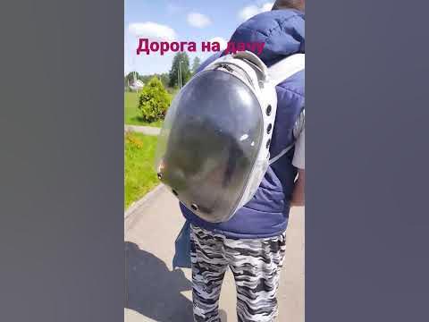 Буран идёт на дачу😹 - YouTube