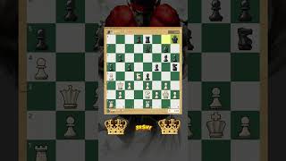 Sizzling queen. 🏆 #chess