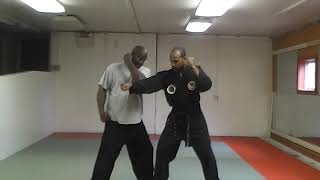 IKMAF: Taekwondo Boon Hae (Analysis and Application): Exploring Low Block