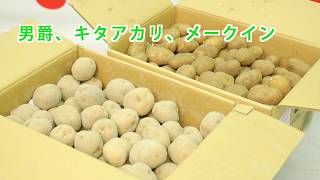 種ばれいしょ【グラントマト株式会社】