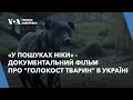 «Голокост» тварин: через повномасштабне вторгнення Росії в Україні загинуло більше 10 млн тварин