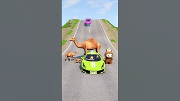 Bus vs Dromedary Camel 3D Model | BeamNG Drive Shorts
