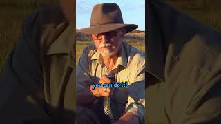 Tagging a tiger snake! 🐍 #shorts #kidstvshow #bushwhacked #snake