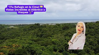 Discover Puerto Rico's BEST KEPT SECRET in Bo. Buena Vista Humacao!