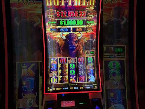 La Baraja Llamando Al Neto #casinolife #apostadores