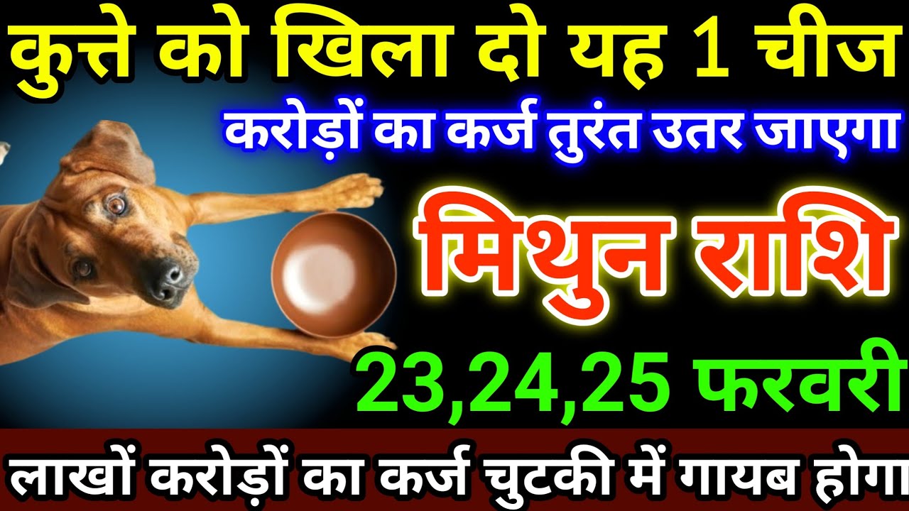 मिथुन राशि 23,24,25 फरवरी कुत्ते को खिला दो यह 1 चीज, करोड़ों का कर्ज तुरंत उतर जाएगा #mithunrashi