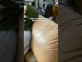 DYNA - Sofa Tamu